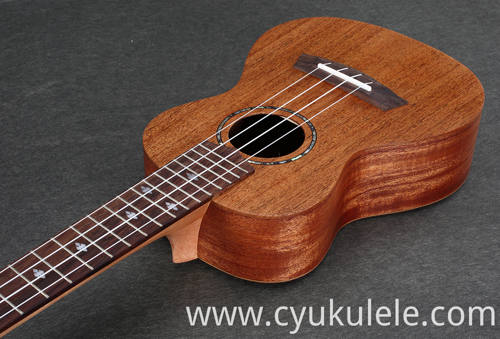 ukulele19